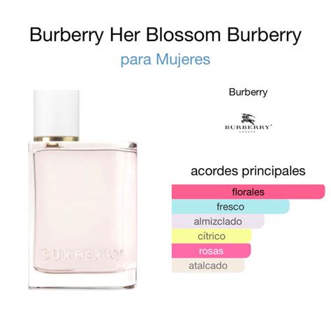 perfume burberry her notas|burberry her eau toilette 2022.